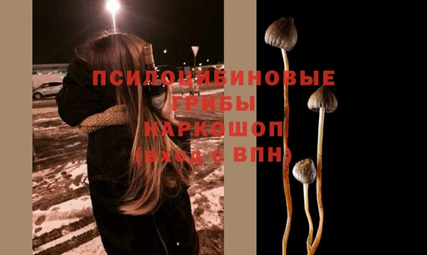бутират Алексеевка