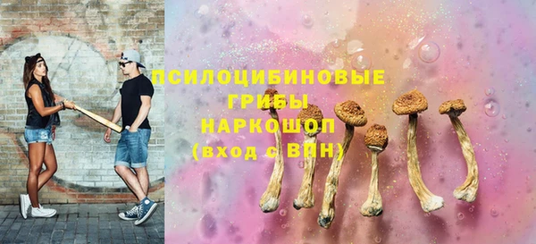 круглые Алзамай