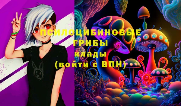 круглые Алзамай